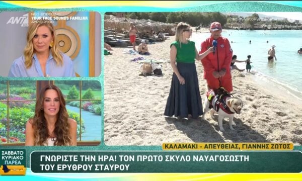 Γνωρίστε την Ήρα! Τον πρώτο σκύλο ναυαγοσώστη του Ερυθρού Σταυρού – Σαββατοκύριακο Παρέα – 13/06/2026