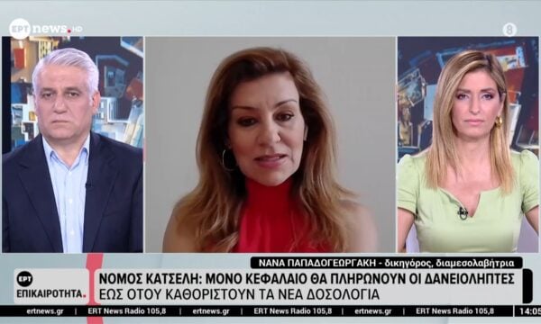 Η δικηγόρος και διαμεσολαβήτρια Νανά Παπαδογεωργάκη στο ΕΡΤnews