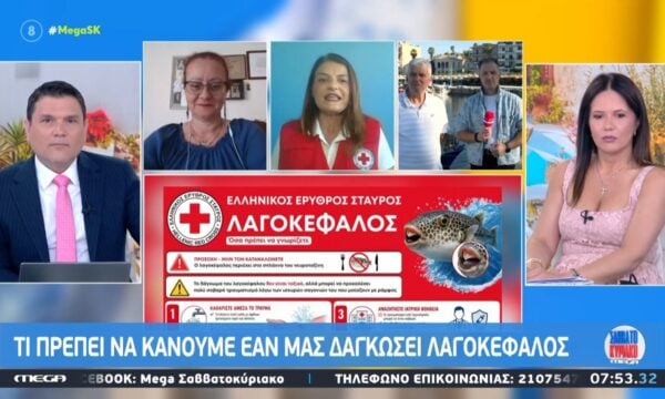 Ι. Φωτοπούλου: «Ο λαγοκέφαλος δαγκώνει – Η πληγή μπορεί να είναι και μεγάλη»