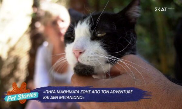 Η συγκινητική ιστορία του Adventure, ενός ανάπηρου γάτου που ξεπέρασε τα εμπόδια της ζωής