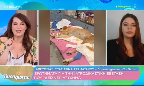 Ιατροδικαστής έβγαλε πόρισμα για το σκυλάκι στη Σάμο χωρίς να το δει ποτέ