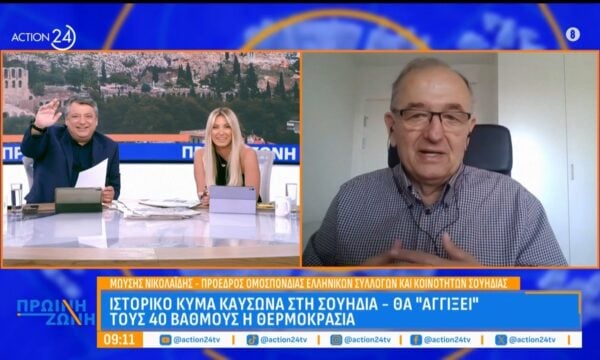Ιστορικό κύμα καύσωνα στη Σουηδία: Θα φτάσει έως και 40 βαθμούς η θερμοκρασία