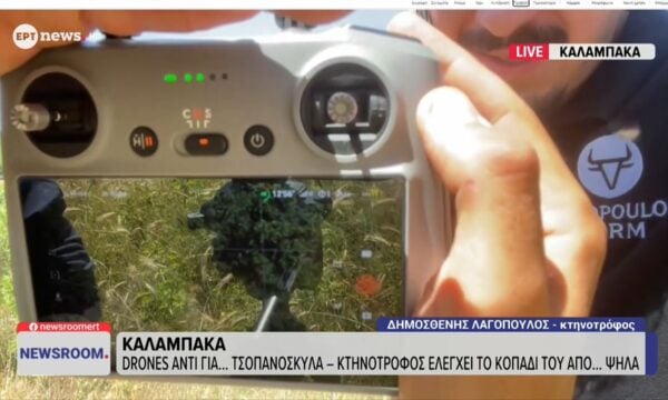 Καλαμπάκα: Drones αντί για…τσοπανόσκυλα – Κτηνοτρόφος ελέγχει το κοπάδι του από…ψηλά