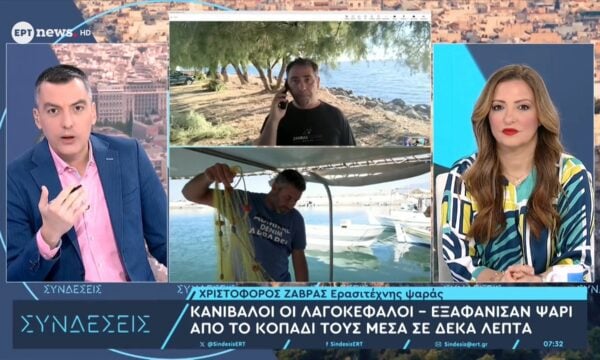 Κανίβαλοι οι λαγοκέφαλοι: Εξαφάνισαν ψάρι από το κοπάδι τους μέσα σε 10 λεπτά – Ο ερασιτέχνης ψαράς Χριστόφορος Ζαβράς στο ΕΡΤnews