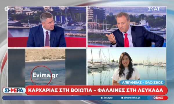 Καρχαρίες στη Βοιωτία – Φάλαινα στη Λευκάδα