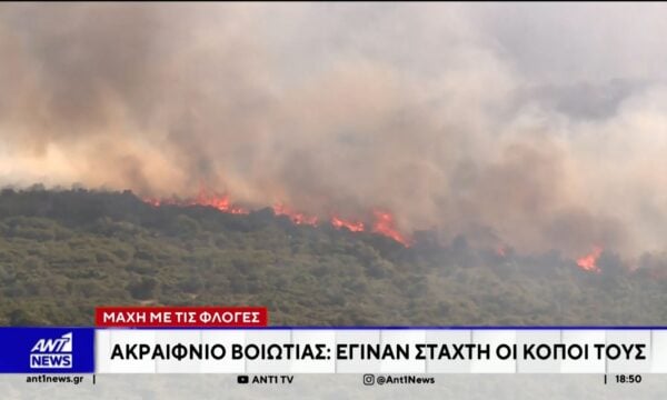Καταστροφική ήταν η μεγάλη φωτιά στη Βοιωτία