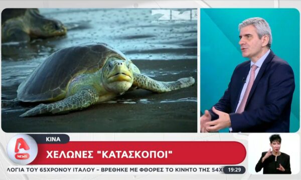 Κίνα: Προβλήματα δημιουργούν οι χελώνες «κατάσκοποι»