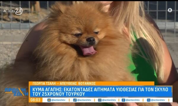 «Κύμα» αγάπης για τον σκύλο του 25χρονου Τούρκου που έχασε τη ζωή του στα Εξάρχεια – Τι ισχύει για την υιοθεσία του