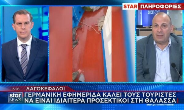 Λαγοκέφαλοι: Γερμανική εφημερίδα καλέι τους τουρίστες να είναι ιδιαίτερα προσεκτικοί στη θάλασσα