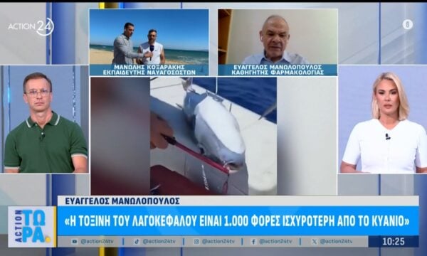 Λαγοκέφαλοι: «Η τοξίνη του είναι 1.000 φορές ισχυρότερη από το κυάνιο – Δεν πρέπει να τον ακουμπάμε»