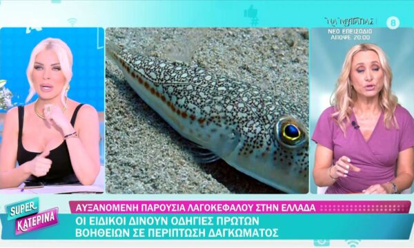 Λαγοκέφαλοι: Οι ειδικοί δίνουν οδηγίες πρώτων βοηθειών σε περίπτωση δαγκώματος.
