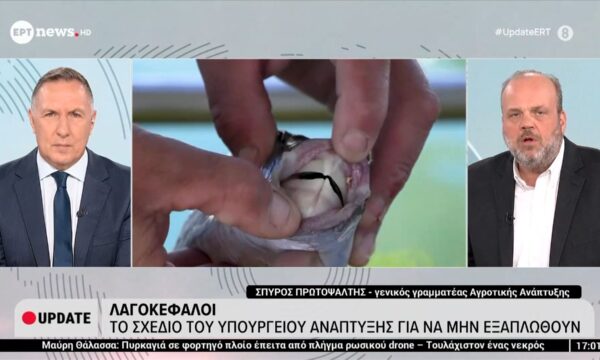Λαγοκέφαλοι: Το σχέδιο του Υπουργείου Ανάπτυξης για να μην εξαπλωθούν – Σπύρος Πρωτοψάλτης, γγ Αγρ. Ανάπτυξης