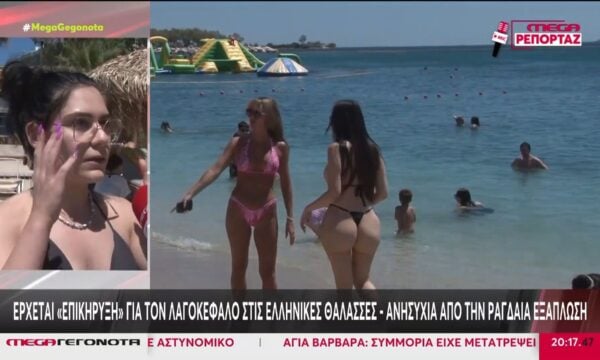 Λαγοκέφαλος: «Επικήρυξη» για το τοξικό ψάρι στις ελληνικές θάλασσες – Ανησυχία από την ραγδαία εξάπλωση