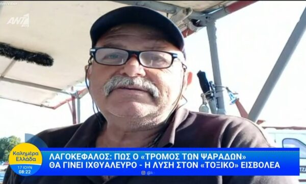Λαγοκέφαλος: Πως “ο τρόμος των ψαράδων” θα γίνει ιχθυάλευρο  – Καλημέρα Ελλάδα – 17/06/2026