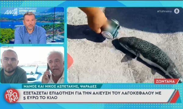 Λαγοκέφαλος: Τα σημεία που έχουν εμφανιστεί στην Ελλάδα – Το Πρωινό – 23/06/2026