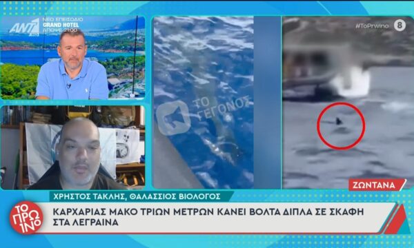 Λεγραινά: Καρχαρίας Μάκο τριών μέτρων κάνει βόλτα δίπλα σε σκάφη – Το Πρωινό – 15/06/2026
