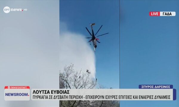 Λούτσα Ευβοίας: Χωρίς ενεργό μέτωπο η πυρκαγιά σε αγροτοδασική έκταση