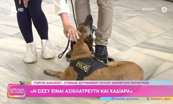 Μ. Γκόλτσιος: «Η υπηρεσιακή ζωή ενός σκύλου είναι 9 χρόνια»
