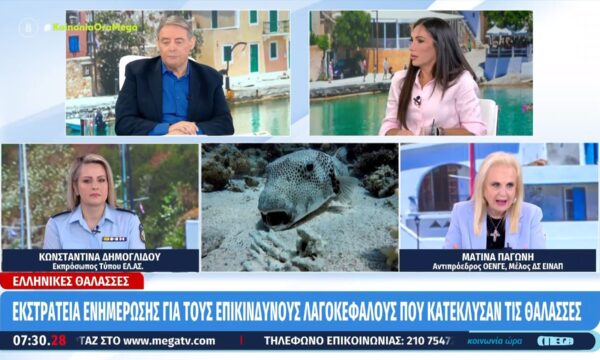 Μ. Παγώνη για βίντεο Γ. Καραμέρου: «Είναι πολιτική τοποθέτηση και είναι απαράδεκτη»