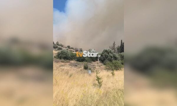 Μάχη με τις φλόγες στο Ακραίφνιο Βοιωτίας
