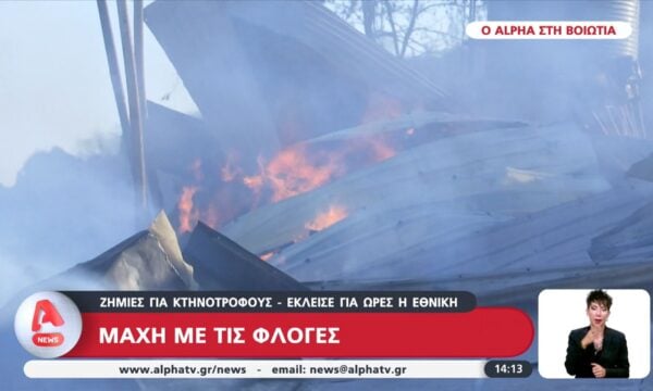 Μάχη με τις φλόγες: Ζημιές για κτηνοτρόφους – Έκλεισε για ώρες η εθνική