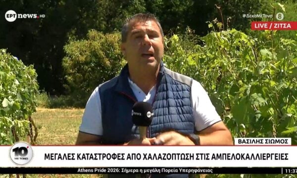 Μεγάλες καταστροφές από χαλαζόπτωση στις αμπελοκαλλιέργιες