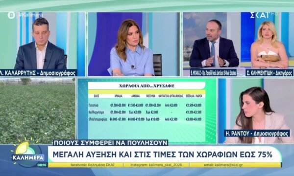 Μεγάλη αύξηση στις τιμές των χωραφιών – Σε ποιες περιοχές αναμένεται να μειωθούν οι τιμές ακινήτων