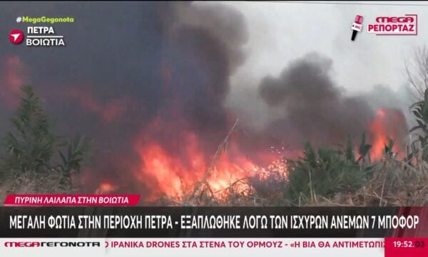 Μεγάλη φωτιά στην περιοχή Πέτρα στην Βοιωτία – Εξαπλώθηκε λόγω των ισχυρών ανέμων