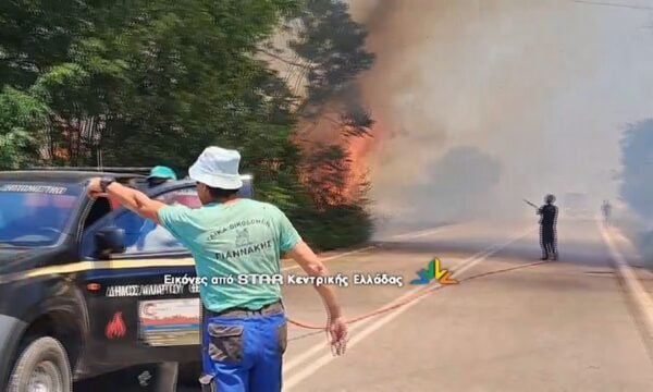 Μεγάλη φωτιά στην Πέτρα Αλιάρτου- Απειλούνται σπίτια