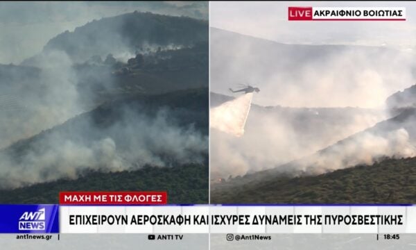 Μεγάλη κινητοποίηση της πυροσβεστικής για φωτιά στην Βοιωτία