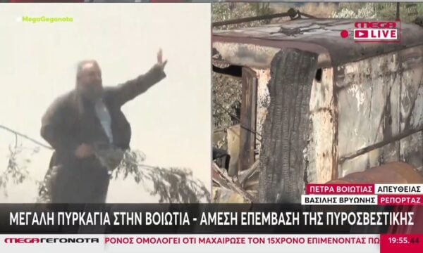 Μεγάλη πυρκαγιά στη Βοιωτία – Άμεση επέμβαση της Πυροσβεστικής