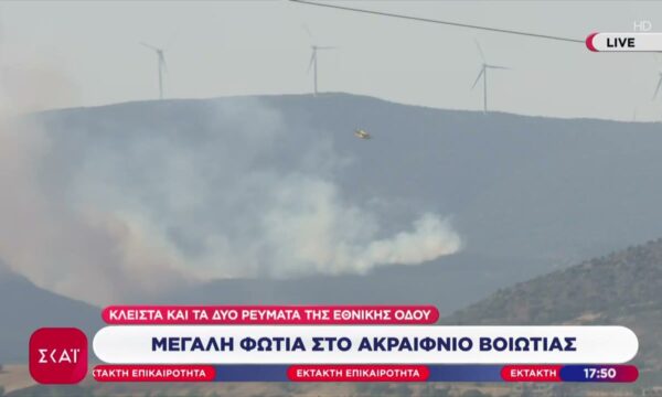 Μεγάλη πυρκαγιά στη Βοιωτία: Έκλεισε η Εθνική οδός στο Ακραίφνιο – Όλες οι εξελίξεις