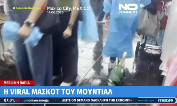 Merlin η πάπια: Η viral μασκότ του μουντιάλ