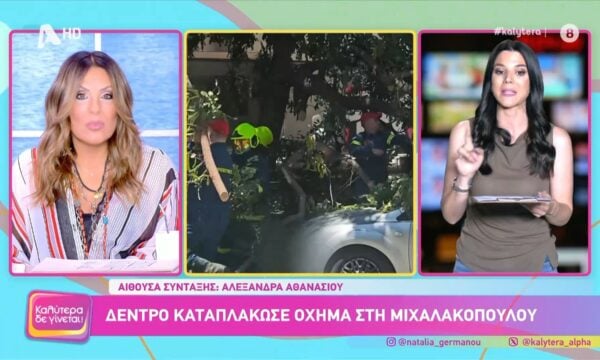 Μιχαλακοπούλου: Δέντρο ξεριζώθηκε από ισχυρούς ανέμους και καταπλάκωσε αυτοκίνητο