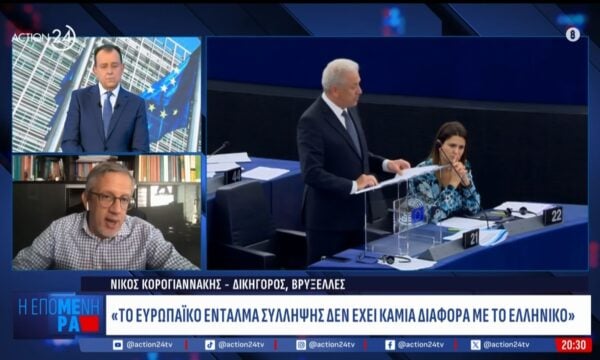 Ν. Κορογιαννάκης: «Λεπτομέρεια ότι ο Δημήτρης Αβραμόπουλος έχει άρση ασυλίας»