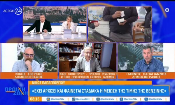 Ν. Παπαγεωργίου: «Το πλαφόν είναι συγκεκριμένο, καθυστερεί η αγορά και αργούν να χαμηλώσουν οι τιμές»