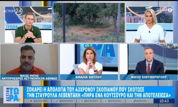 Ν. Ρήγας για την σοκαριστική απολογία του 43χρονου Σκοπιανού