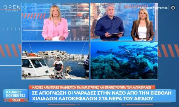 Νάξος: Σε απόγνωση οι ψαράδες από την εισβολή χιλιάδων λαγοκέφαλων στο Αιγαίο