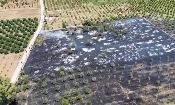 Ναυπλιο: Πυρκαγιά σε αγροτική έκταση στην περιοχή του Λάλουκα στον Δήμο Άργους – Μυκηνών