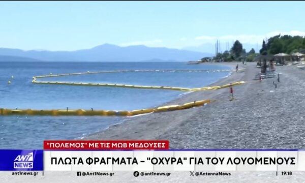 Ο ΑΝΤ1 στην Εύβοια: “Πόλεμος” με τις μωβ μέδουσες