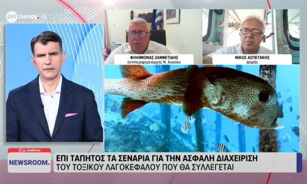Ο αντιπεριφερειάρχης Ν. Αιγαίου Φιλήμονας Ζαννετίδης και ο ψαράς Νίκος Ασπετάκης στο ΕΡΤnews για τους λαγοκέφαλους