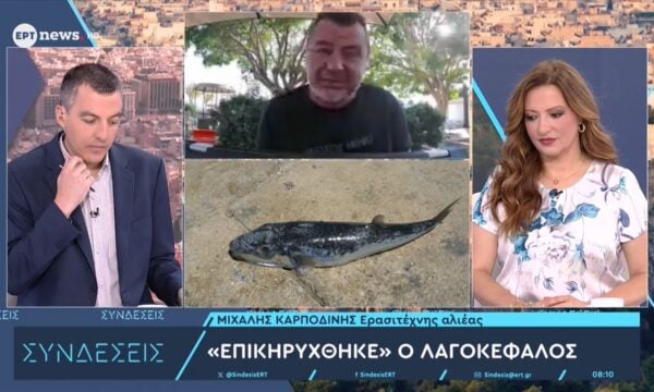 Ο ερασιτέχνης αλιέας Μιχάλης Καρποδίνης στο ΕΡΤnews για τους λαγοκέφαλους