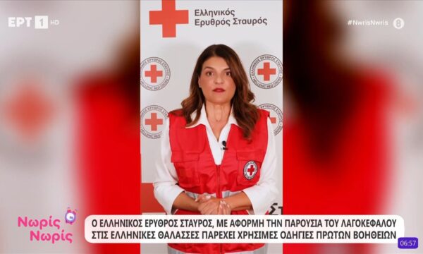 Ο Ερυθρός Σταυρός, με αφορμή την παρουσία του λαγοκέφαλου στις ελληνικές θάλασσες παρέχει χρήσιμες οδηγίες πρώτων βοηθειών