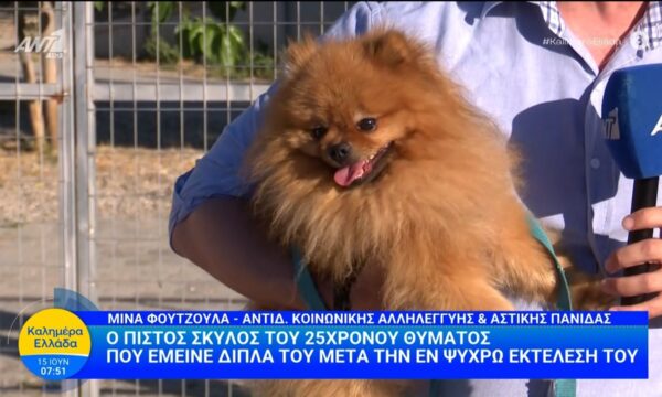 Ο πιστός σκύλος του 25χρονου θύματος – Καλημέρα Ελλάδα – 15/06/2026