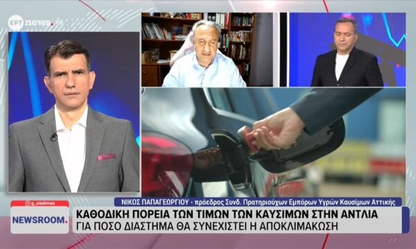 Ο πρόεδρος Συνδέσμου Πρατηριούχων Αττικής Νίκος Παπαγεωργίου στο ΕΡΤnews