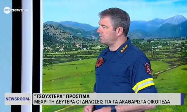 Ο πρόεδρος της Ένωσης Αξιωματικών Πυροσβεστικού Σώματος Κώστας Τσίγκας στο ΕΡΤnews