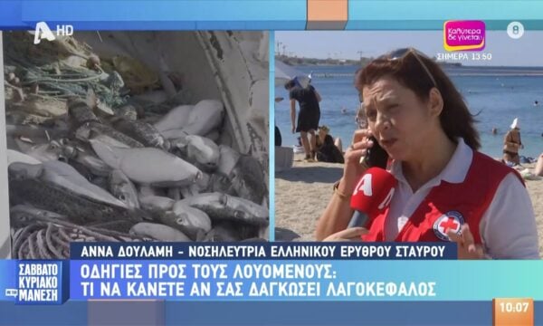 Οδηγίες σε λουόμενους: Το κάνουμε αν μας δαγκώσει λαγοκέφαλος