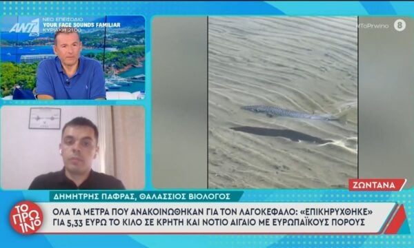 Όλα τα μέτρα που ανακοινώθηκαν για τον λαγοκέφαλο – Το Πρωινό – 26/06/2026