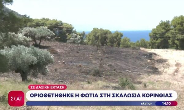 Οριοθετήθηκε η φωτιά στη Σκαλωσιά Κορινθίας σε δασική έκταση