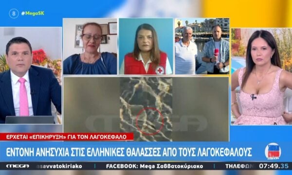 Π. Καραχλέ: «Δεν παίζουμε με την άγρια φύση»